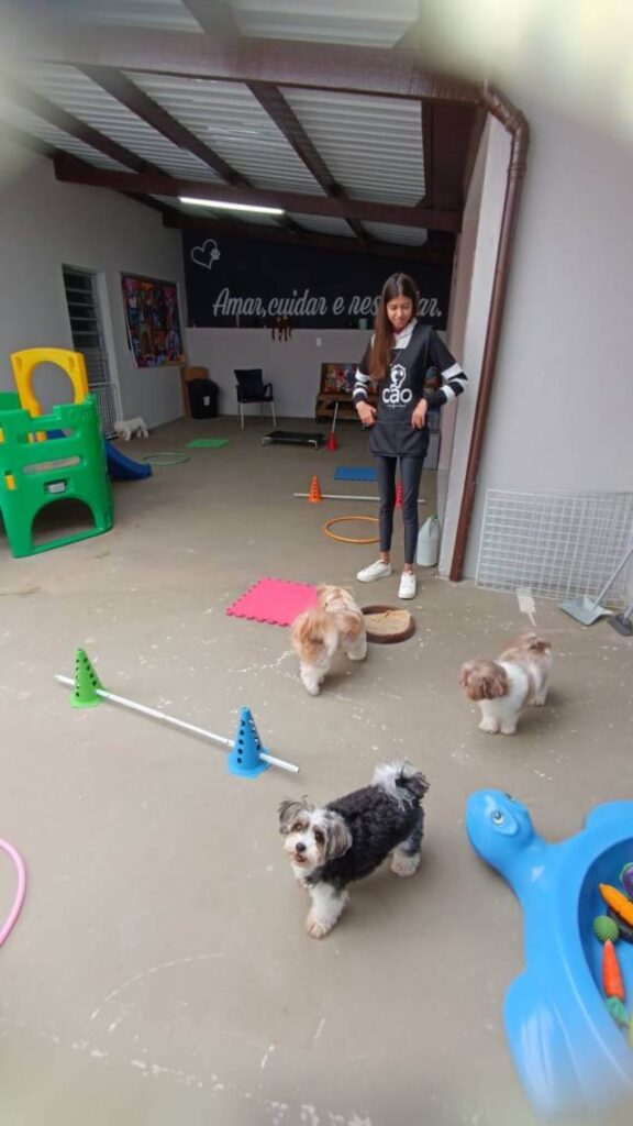 Cão em Família - Creche para cachorro